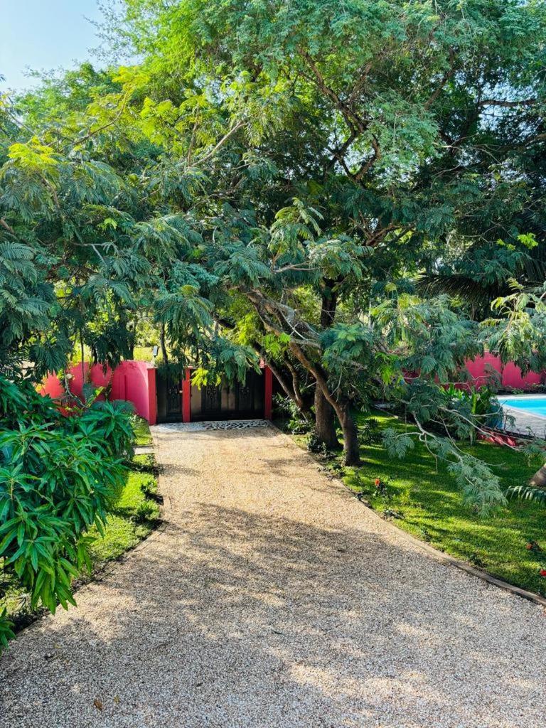 Heda House Bed & Breakfast Sanyang Exterior foto