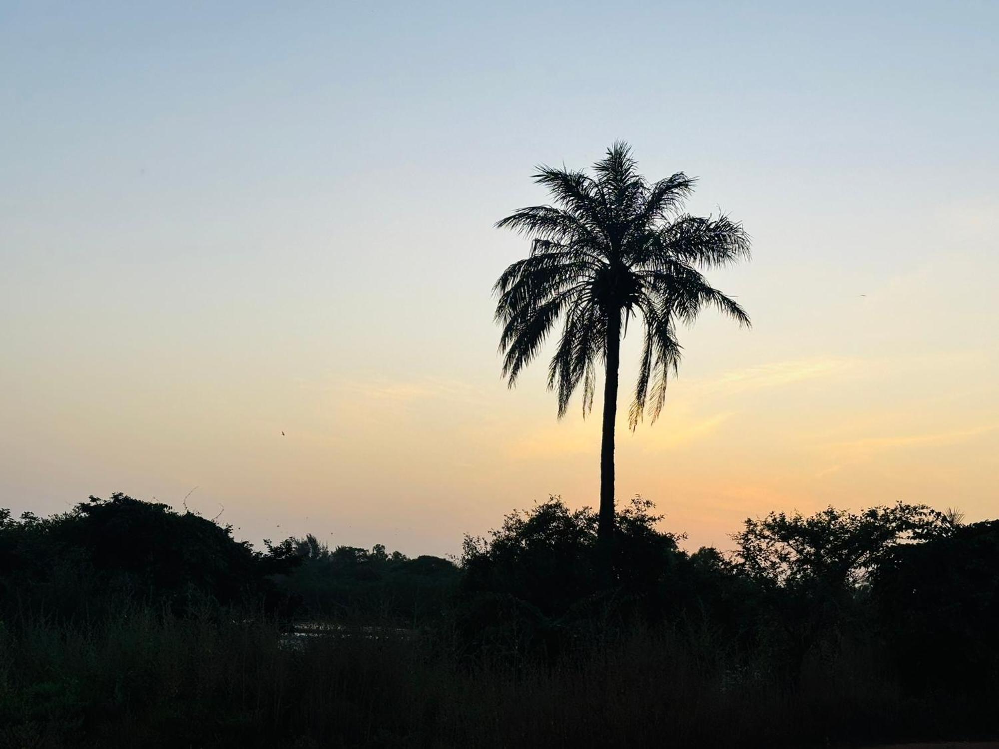 Heda House Bed & Breakfast Sanyang Exterior foto